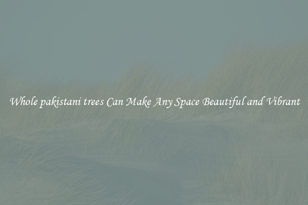 Whole pakistani trees Can Make Any Space Beautiful and Vibrant