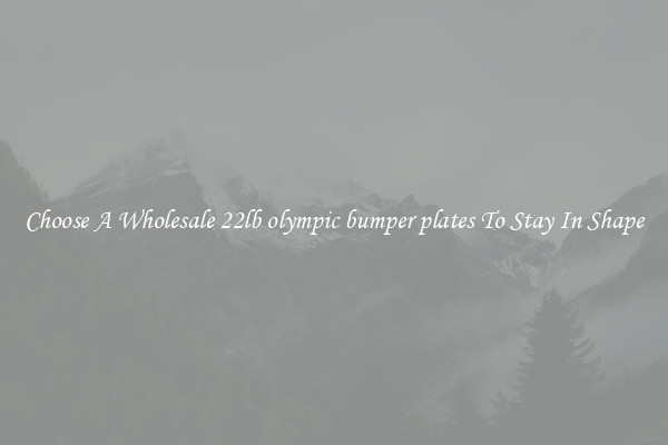 Choose A Wholesale 22lb olympic bumper plates To Stay In Shape