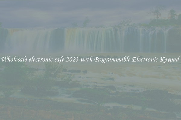 Wholesale electronic safe 2023 with Programmable Electronic Keypad 