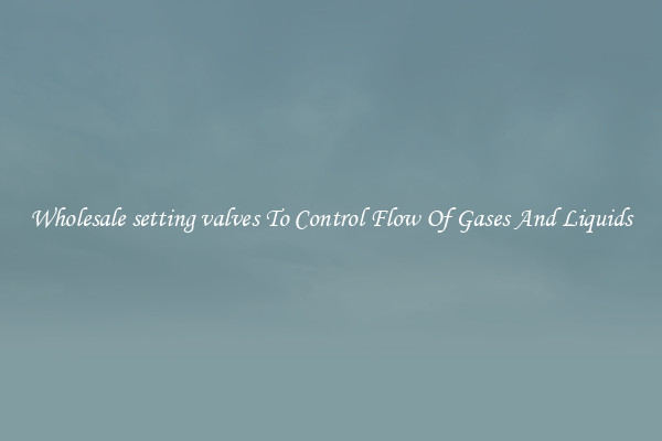 Wholesale setting valves To Control Flow Of Gases And Liquids