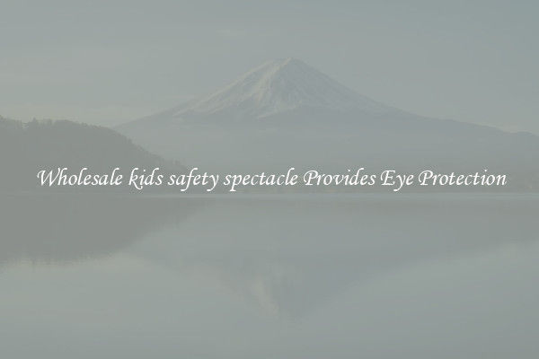 Wholesale kids safety spectacle Provides Eye Protection