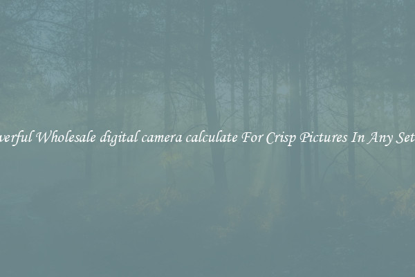 Powerful Wholesale digital camera calculate For Crisp Pictures In Any Setting