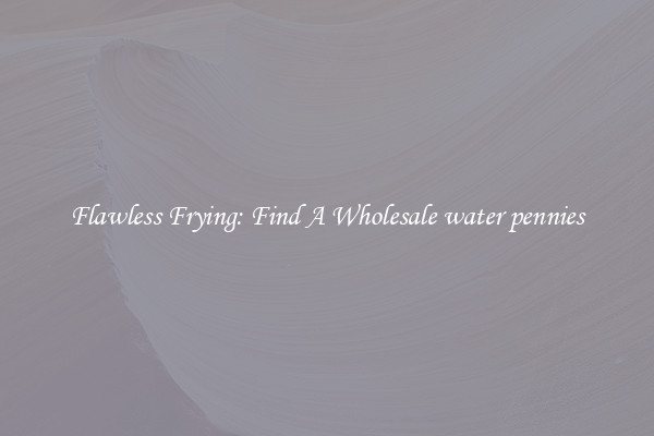 Flawless Frying: Find A Wholesale water pennies