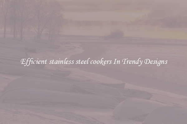 Efficient stainless steel cookers In Trendy Designs