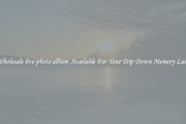 Wholesale live photo album Available For Your Trip Down Memory Lane