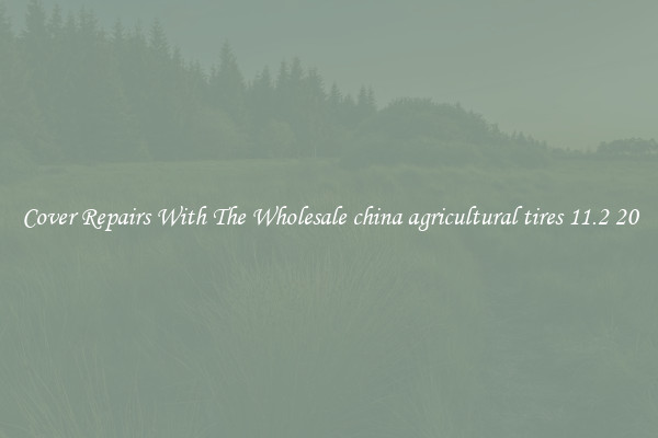  Cover Repairs With The Wholesale china agricultural tires 11.2 20 