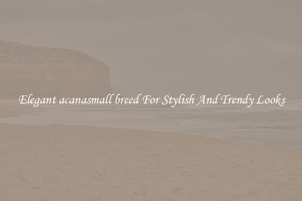 Elegant acanasmall breed For Stylish And Trendy Looks