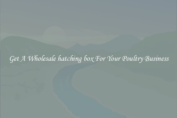Get A Wholesale hatching box For Your Poultry Business