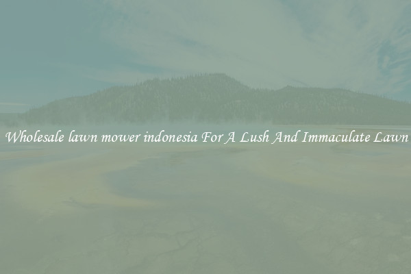 Wholesale lawn mower indonesia For A Lush And Immaculate Lawn