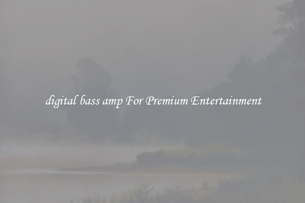 digital bass amp For Premium Entertainment