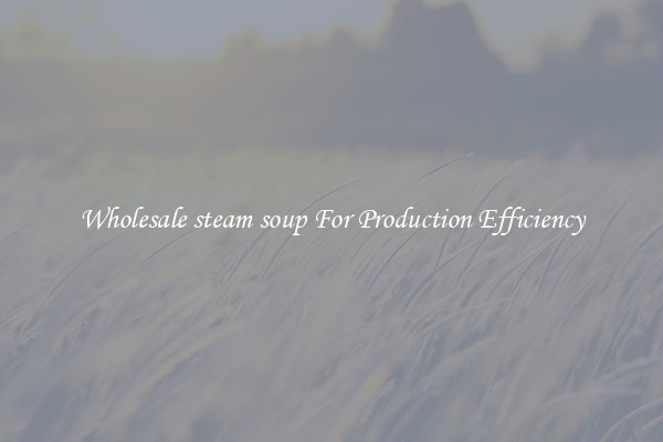 Wholesale steam soup For Production Efficiency