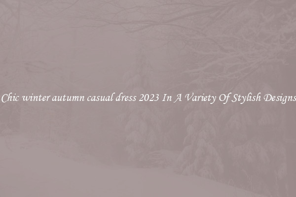 Chic winter autumn casual dress 2023 In A Variety Of Stylish Designs