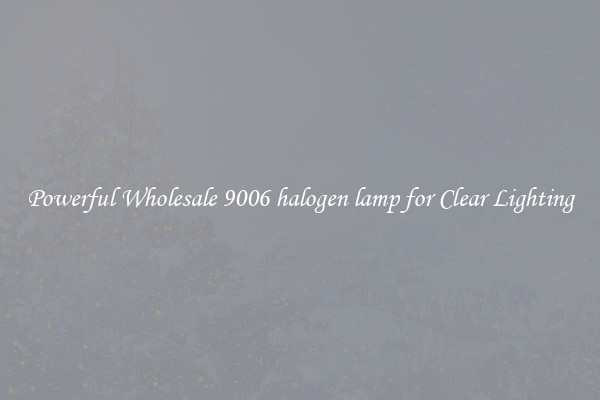 Powerful Wholesale 9006 halogen lamp for Clear Lighting