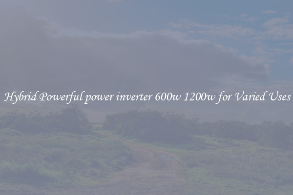 Hybrid Powerful power inverter 600w 1200w for Varied Uses