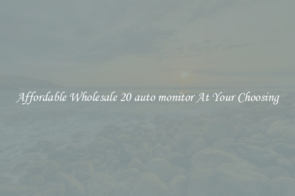 Affordable Wholesale 20 auto monitor At Your Choosing