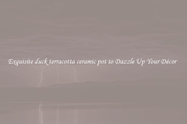 Exquisite duck terracotta ceramic pot to Dazzle Up Your Décor  