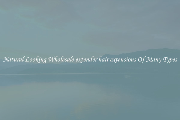 Natural Looking Wholesale extender hair extensions Of Many Types
