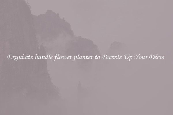 Exquisite handle flower planter to Dazzle Up Your Décor 